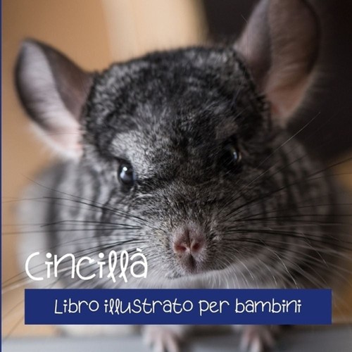 Cincill libro illustrato per - illustrato,