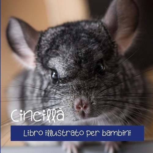Cincill libro illustrato per - cincill:,