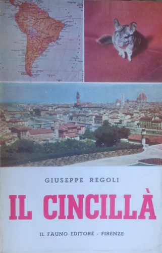 Cincillà biblioteca - il,